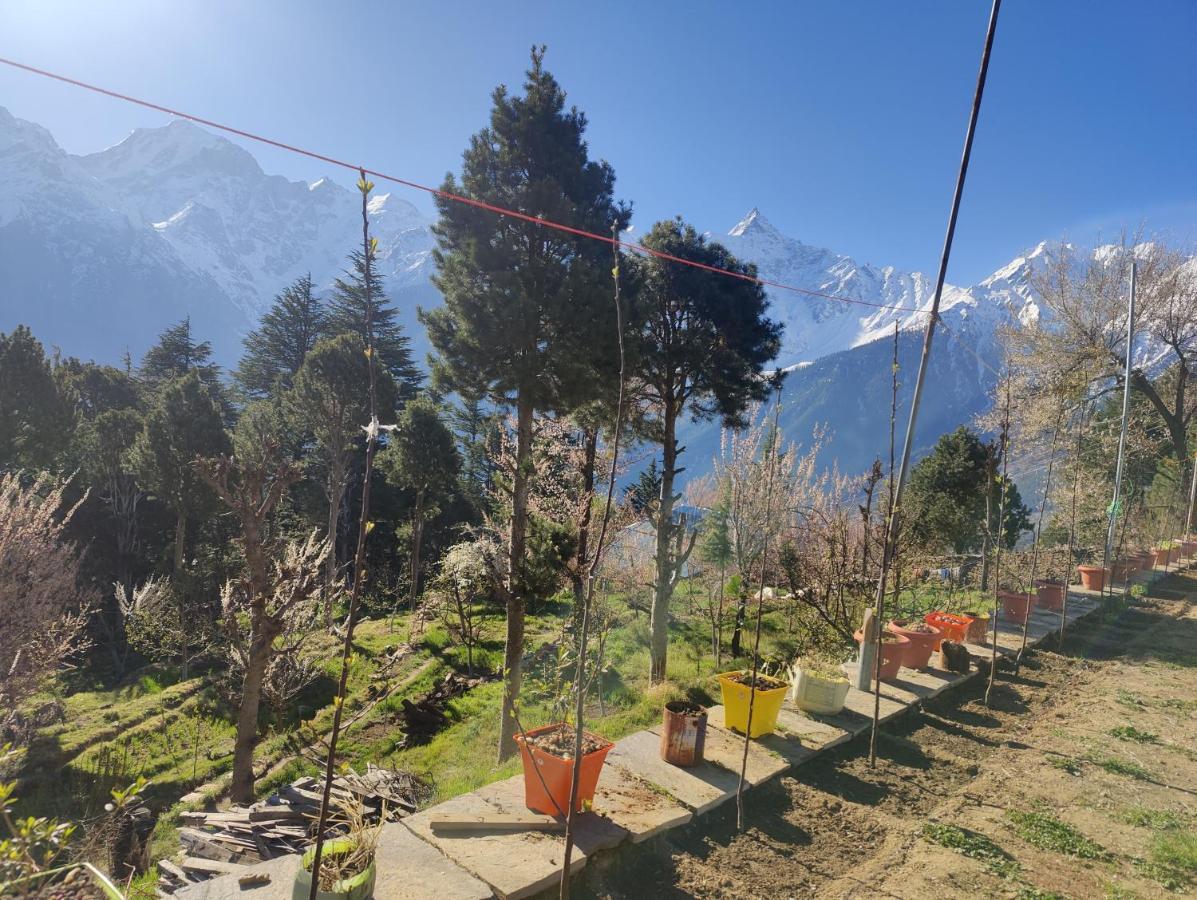 Silk Route Home Stay Kalpa Exterior photo